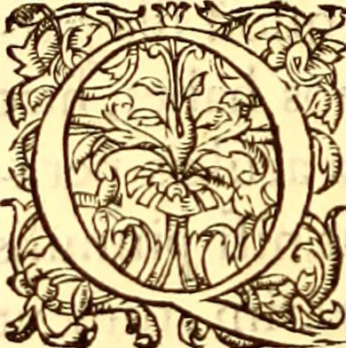An illustration from Gvlielmi Rondeletii ... Libri de piscibus marinis, in quibus veræ piscium effigies expressæ sunt .., 1554, leaf 377