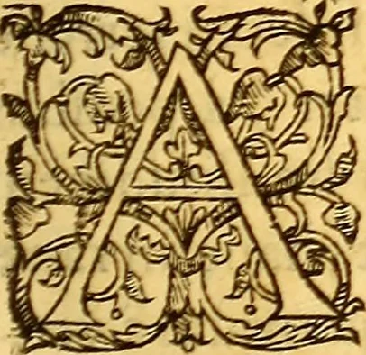 An illustration from Gvlielmi Rondeletii ... Libri de piscibus marinis, in quibus veræ piscium effigies expressæ sunt .., 1554, leaf 382