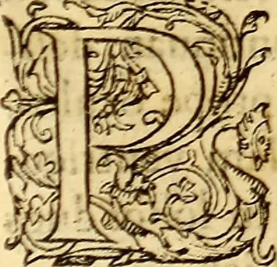 An illustration from Gvlielmi Rondeletii ... Libri de piscibus marinis, in quibus veræ piscium effigies expressæ sunt .., 1554, leaf 386