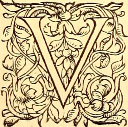 An illustration from Gvlielmi Rondeletii ... Libri de piscibus marinis, in quibus veræ piscium effigies expressæ sunt .., 1554, leaf 389