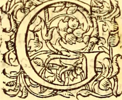 An illustration from Gvlielmi Rondeletii ... Libri de piscibus marinis, in quibus veræ piscium effigies expressæ sunt .., 1554, leaf 397