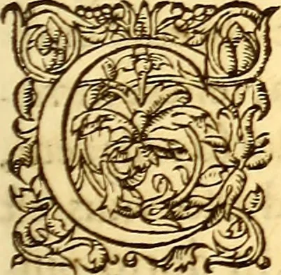 An illustration from Gvlielmi Rondeletii ... Libri de piscibus marinis, in quibus veræ piscium effigies expressæ sunt .., 1554, leaf 402