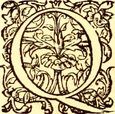 An illustration from Gvlielmi Rondeletii ... Libri de piscibus marinis, in quibus veræ piscium effigies expressæ sunt .., 1554, leaf 403