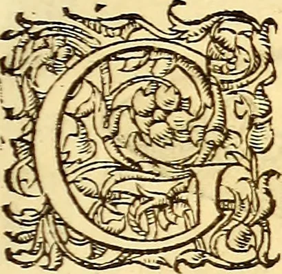 An illustration from Gvlielmi Rondeletii ... Libri de piscibus marinis, in quibus veræ piscium effigies expressæ sunt .., 1554, leaf 408