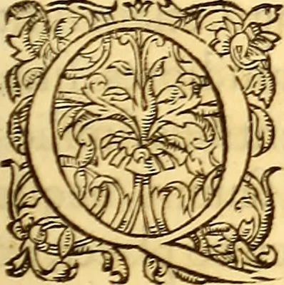 An illustration from Gvlielmi Rondeletii ... Libri de piscibus marinis, in quibus veræ piscium effigies expressæ sunt .., 1554, leaf 412