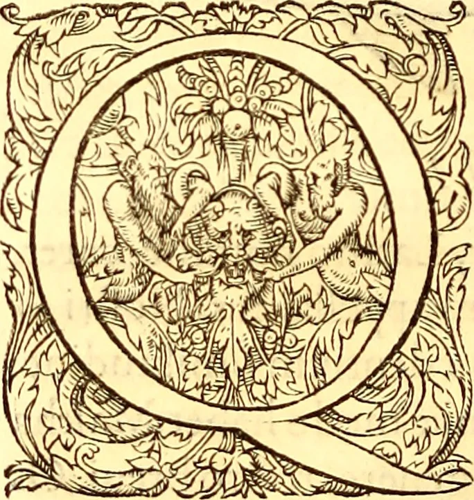 An illustration from Gvlielmi Rondeletii ... Libri de piscibus marinis, in quibus veræ piscium effigies expressæ sunt .., 1554, leaf 413