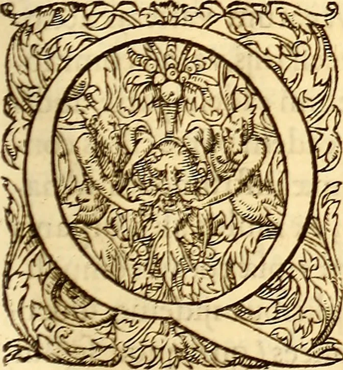 An illustration from Gvlielmi Rondeletii ... Libri de piscibus marinis, in quibus veræ piscium effigies expressæ sunt .., 1554, leaf 42
