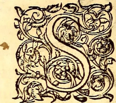 An illustration from Gvlielmi Rondeletii ... Libri de piscibus marinis, in quibus veræ piscium effigies expressæ sunt .., 1554, leaf 429