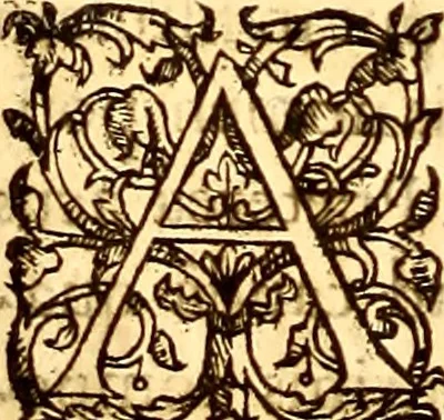 An illustration from Gvlielmi Rondeletii ... Libri de piscibus marinis, in quibus veræ piscium effigies expressæ sunt .., 1554, leaf 429