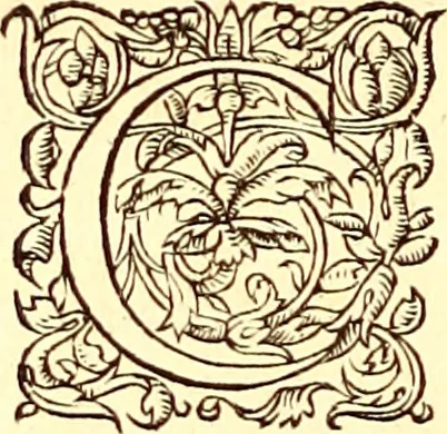 An illustration from Gvlielmi Rondeletii ... Libri de piscibus marinis, in quibus veræ piscium effigies expressæ sunt .., 1554, leaf 43