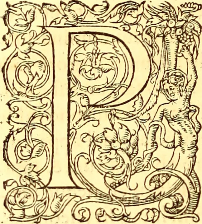An illustration from Gvlielmi Rondeletii ... Libri de piscibus marinis, in quibus veræ piscium effigies expressæ sunt .., 1554, leaf 437