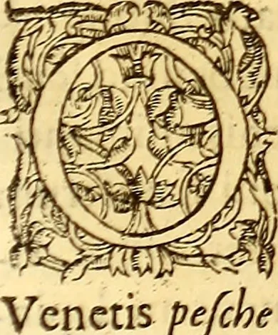 An illustration from Gvlielmi Rondeletii ... Libri de piscibus marinis, in quibus veræ piscium effigies expressæ sunt .., 1554, leaf 438
