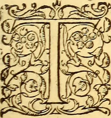 An illustration from Gvlielmi Rondeletii ... Libri de piscibus marinis, in quibus veræ piscium effigies expressæ sunt .., 1554, leaf 440