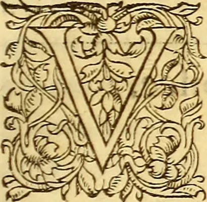 An illustration from Gvlielmi Rondeletii ... Libri de piscibus marinis, in quibus veræ piscium effigies expressæ sunt .., 1554, leaf 442