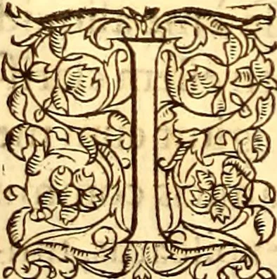 An illustration from Gvlielmi Rondeletii ... Libri de piscibus marinis, in quibus veræ piscium effigies expressæ sunt .., 1554, leaf 443