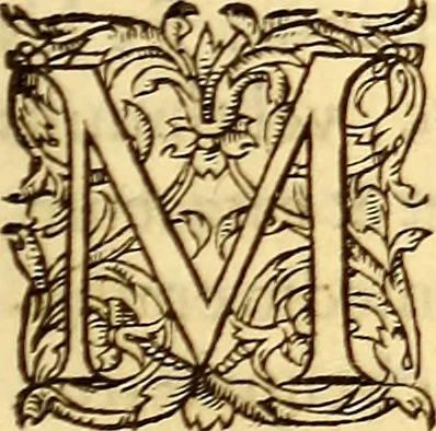 An illustration from Gvlielmi Rondeletii ... Libri de piscibus marinis, in quibus veræ piscium effigies expressæ sunt .., 1554, leaf 450