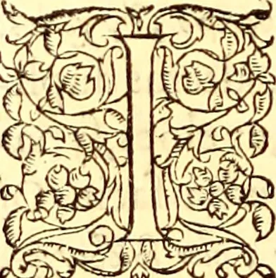 An illustration from Gvlielmi Rondeletii ... Libri de piscibus marinis, in quibus veræ piscium effigies expressæ sunt .., 1554, leaf 451