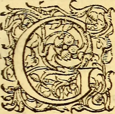 An illustration from Gvlielmi Rondeletii ... Libri de piscibus marinis, in quibus veræ piscium effigies expressæ sunt .., 1554, leaf 452
