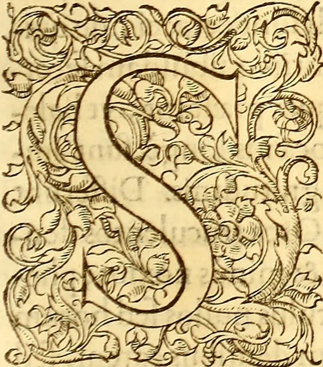 An illustration from Gvlielmi Rondeletii ... Libri de piscibus marinis, in quibus veræ piscium effigies expressæ sunt .., 1554, leaf 460