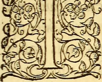 An illustration from Gvlielmi Rondeletii ... Libri de piscibus marinis, in quibus veræ piscium effigies expressæ sunt .., 1554, leaf 462