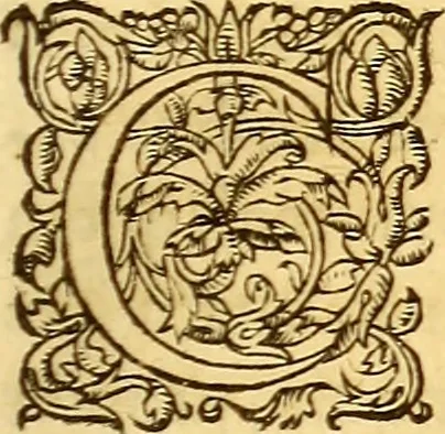 An illustration from Gvlielmi Rondeletii ... Libri de piscibus marinis, in quibus veræ piscium effigies expressæ sunt .., 1554, leaf 464