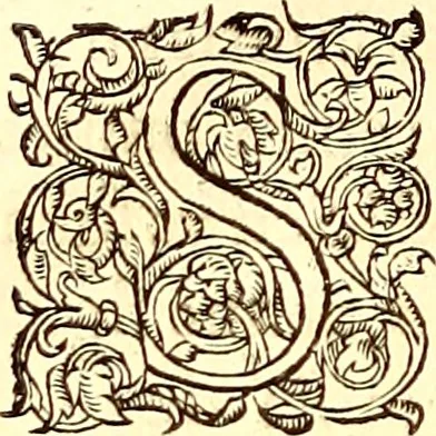 An illustration from Gvlielmi Rondeletii ... Libri de piscibus marinis, in quibus veræ piscium effigies expressæ sunt .., 1554, leaf 47