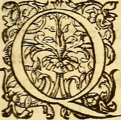An illustration from Gvlielmi Rondeletii ... Libri de piscibus marinis, in quibus veræ piscium effigies expressæ sunt .., 1554, leaf 478