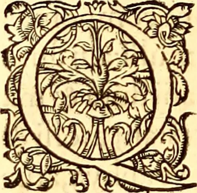 An illustration from Gvlielmi Rondeletii ... Libri de piscibus marinis, in quibus veræ piscium effigies expressæ sunt .., 1554, leaf 49