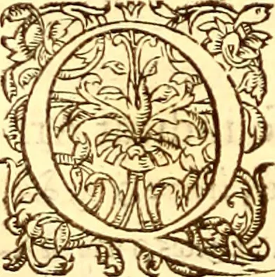 An illustration from Gvlielmi Rondeletii ... Libri de piscibus marinis, in quibus veræ piscium effigies expressæ sunt .., 1554, leaf 493