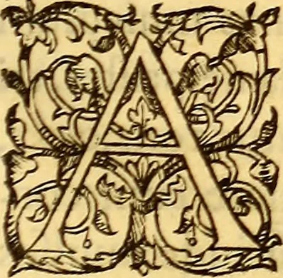 An illustration from Gvlielmi Rondeletii ... Libri de piscibus marinis, in quibus veræ piscium effigies expressæ sunt .., 1554, leaf 494