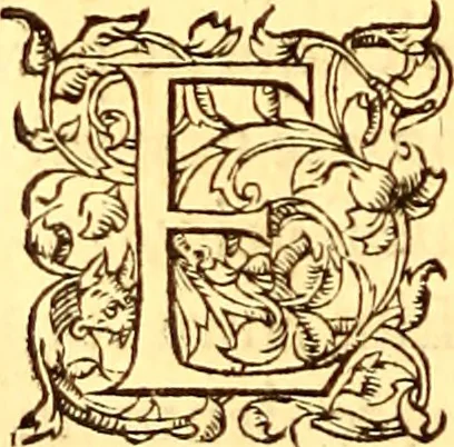 An illustration from Gvlielmi Rondeletii ... Libri de piscibus marinis, in quibus veræ piscium effigies expressæ sunt .., 1554, leaf 501