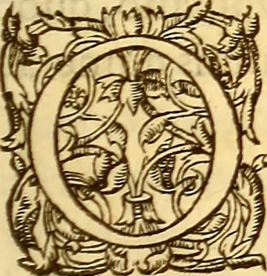 An illustration from Gvlielmi Rondeletii ... Libri de piscibus marinis, in quibus veræ piscium effigies expressæ sunt .., 1554, leaf 502
