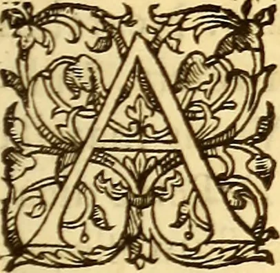 An illustration from Gvlielmi Rondeletii ... Libri de piscibus marinis, in quibus veræ piscium effigies expressæ sunt .., 1554, leaf 504