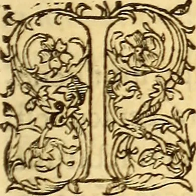 An illustration from Gvlielmi Rondeletii ... Libri de piscibus marinis, in quibus veræ piscium effigies expressæ sunt .., 1554, leaf 506
