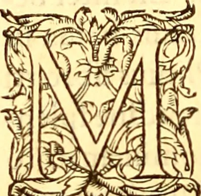 An illustration from Gvlielmi Rondeletii ... Libri de piscibus marinis, in quibus veræ piscium effigies expressæ sunt .., 1554, leaf 513