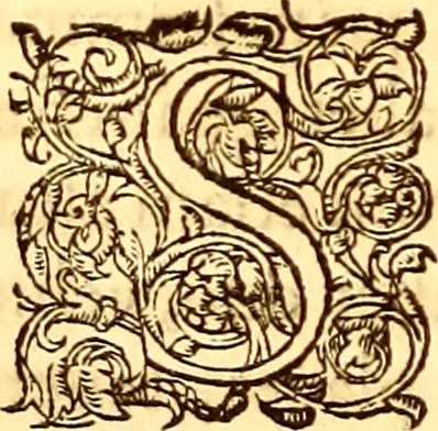 An illustration from Gvlielmi Rondeletii ... Libri de piscibus marinis, in quibus veræ piscium effigies expressæ sunt .., 1554, leaf 523