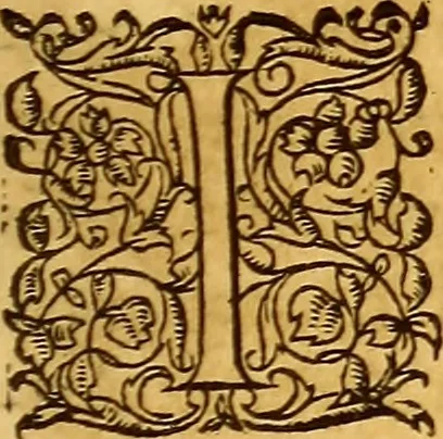 An illustration from Gvlielmi Rondeletii ... Libri de piscibus marinis, in quibus veræ piscium effigies expressæ sunt .., 1554, leaf 536