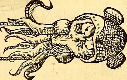 An illustration from Gvlielmi Rondeletii ... Libri de piscibus marinis, in quibus veræ piscium effigies expressæ sunt .., 1554, leaf 538
