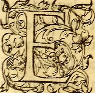 An illustration from Gvlielmi Rondeletii ... Libri de piscibus marinis, in quibus veræ piscium effigies expressæ sunt .., 1554, leaf 538