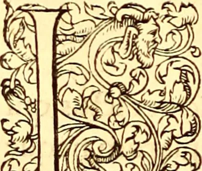 An illustration from Gvlielmi Rondeletii ... Libri de piscibus marinis, in quibus veræ piscium effigies expressæ sunt .., 1554, leaf 539