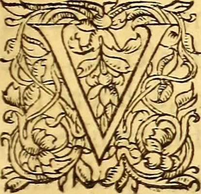 An illustration from Gvlielmi Rondeletii ... Libri de piscibus marinis, in quibus veræ piscium effigies expressæ sunt .., 1554, leaf 546