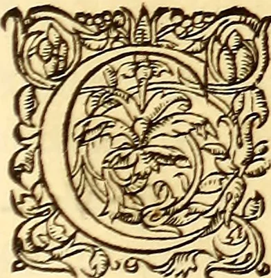 An illustration from Gvlielmi Rondeletii ... Libri de piscibus marinis, in quibus veræ piscium effigies expressæ sunt .., 1554, leaf 548