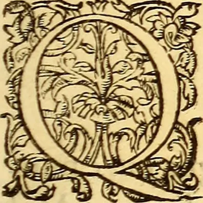 An illustration from Gvlielmi Rondeletii ... Libri de piscibus marinis, in quibus veræ piscium effigies expressæ sunt .., 1554, leaf 550