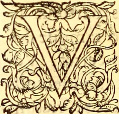 An illustration from Gvlielmi Rondeletii ... Libri de piscibus marinis, in quibus veræ piscium effigies expressæ sunt .., 1554, leaf 551
