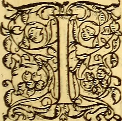 An illustration from Gvlielmi Rondeletii ... Libri de piscibus marinis, in quibus veræ piscium effigies expressæ sunt .., 1554, leaf 552