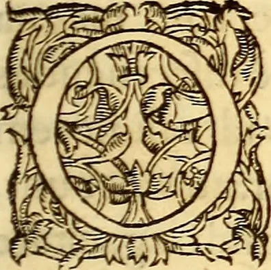 An illustration from Gvlielmi Rondeletii ... Libri de piscibus marinis, in quibus veræ piscium effigies expressæ sunt .., 1554, leaf 56