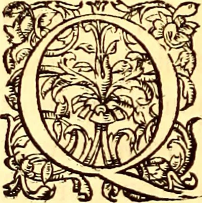 An illustration from Gvlielmi Rondeletii ... Libri de piscibus marinis, in quibus veræ piscium effigies expressæ sunt .., 1554, leaf 565