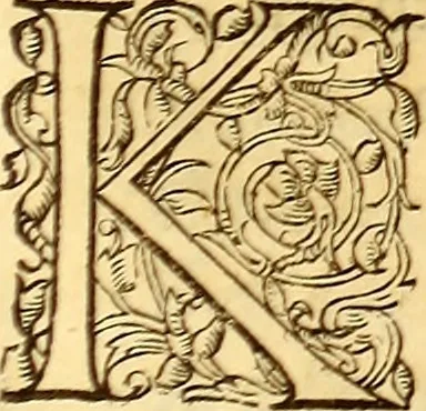 An illustration from Gvlielmi Rondeletii ... Libri de piscibus marinis, in quibus veræ piscium effigies expressæ sunt .., 1554, leaf 566
