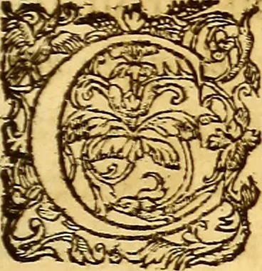 An illustration from Gvlielmi Rondeletii ... Libri de piscibus marinis, in quibus veræ piscium effigies expressæ sunt .., 1554, leaf 568