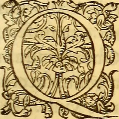 An illustration from Gvlielmi Rondeletii ... Libri de piscibus marinis, in quibus veræ piscium effigies expressæ sunt .., 1554, leaf 572